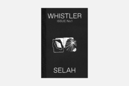  Antoine Selah - Saisir l'éphémère , Artiste multidisciplinaire, Dessein, Peinture, Sculpture, Installations Contemporaines, Projets Artistiques | Antoine Selah - Multidisciplinary Artist, Seize the ephemeral, Drawing, Painting, Sculpture, Contemporary Installations, Artistic Projects.