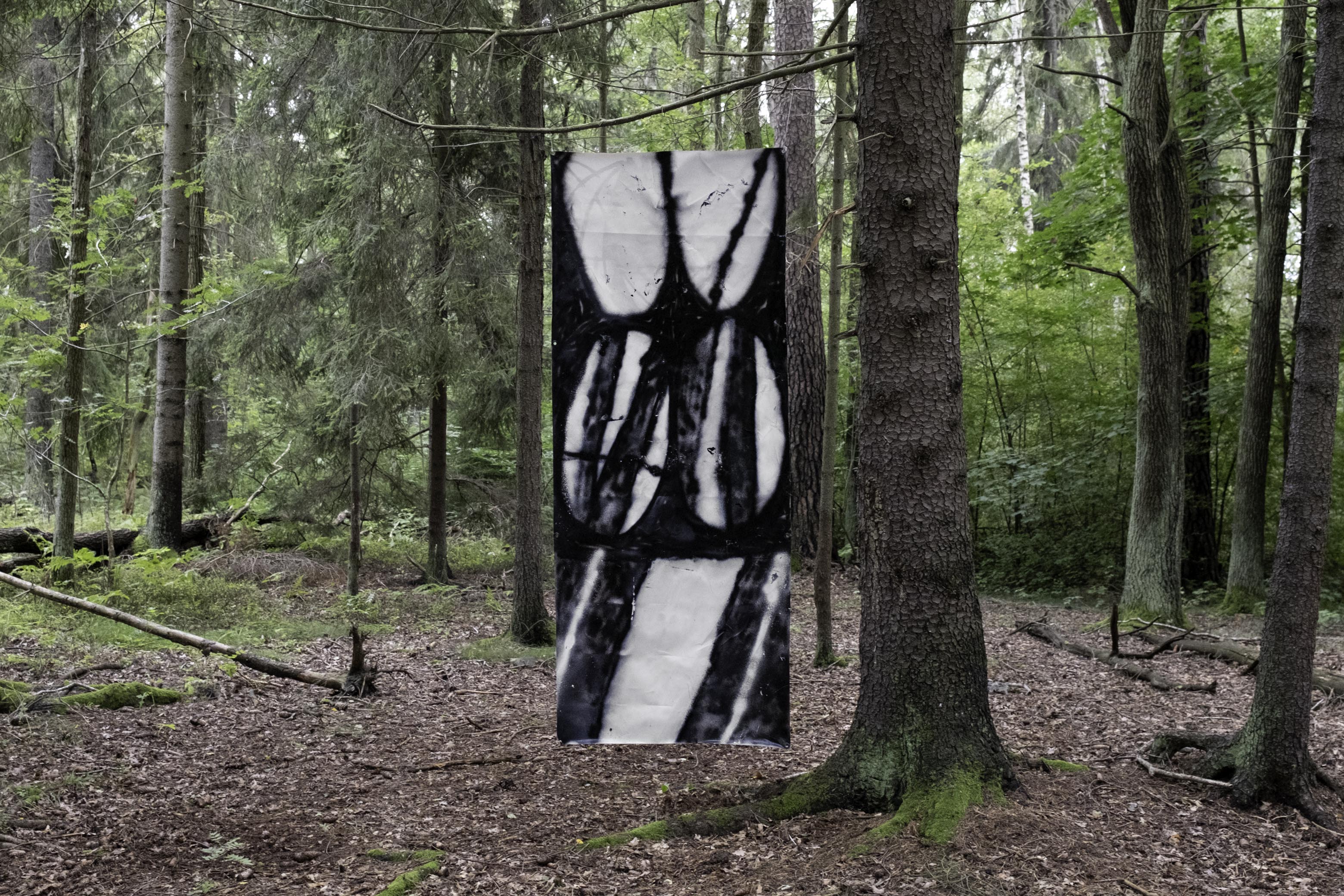  Antoine Selah - Saisir l'éphémère , Artiste multidisciplinaire, Dessein, Peinture, Sculpture, Installations Contemporaines, Projets Artistiques | Antoine Selah - Multidisciplinary Artist, Seize the ephemeral, Drawing, Painting, Sculpture, Contemporary Installations, Artistic Projects.