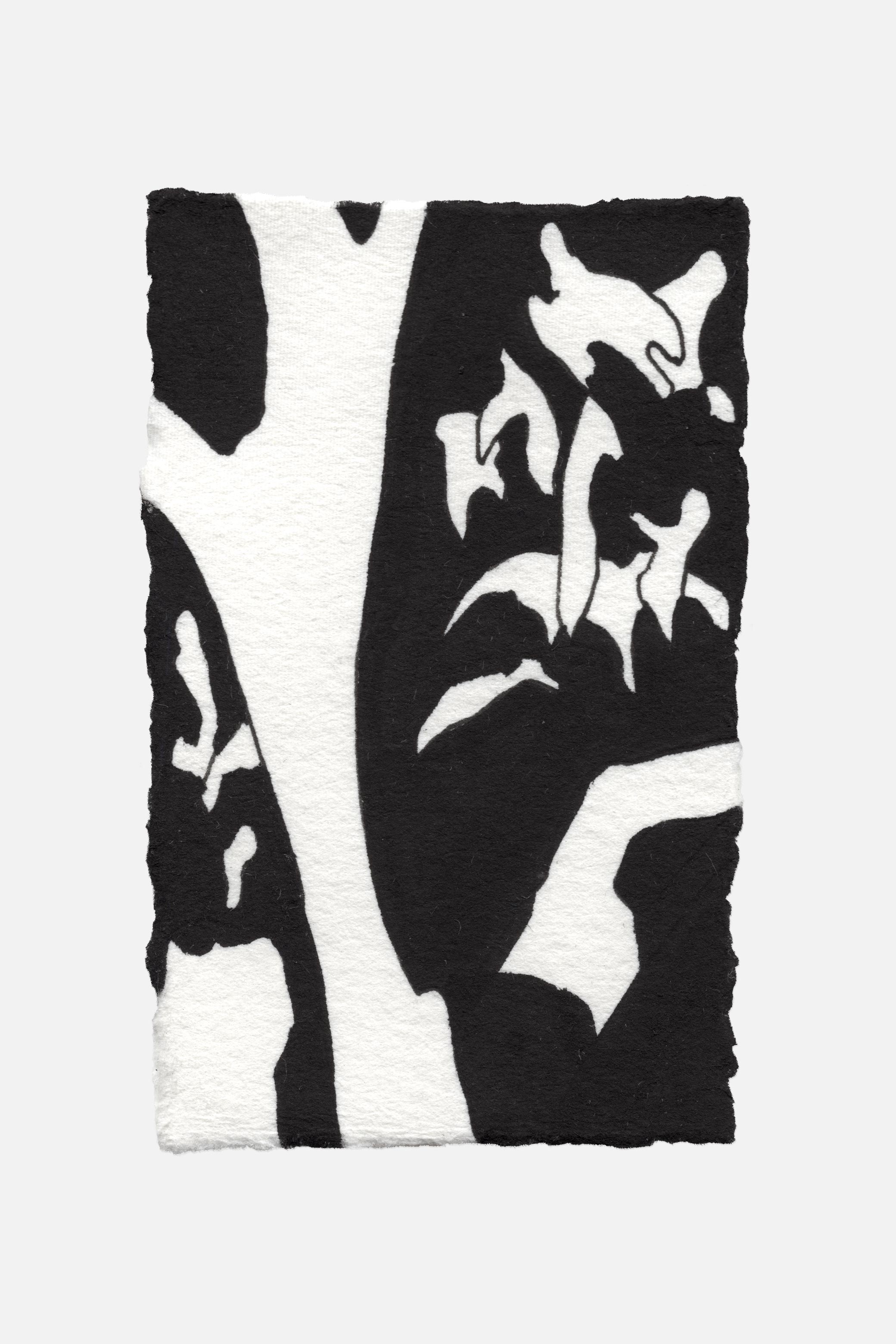  Antoine Selah - Saisir l'éphémère , Artiste multidisciplinaire, Dessein, Peinture, Sculpture, Installations Contemporaines, Projets Artistiques | Antoine Selah - Multidisciplinary Artist, Seize the ephemeral, Drawing, Painting, Sculpture, Contemporary Installations, Artistic Projects.